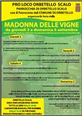 Festa della Madonna delle Vigne